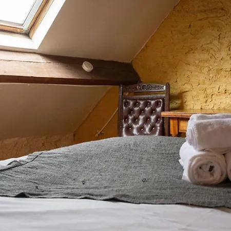 High Paradise Farm ファームステイ *