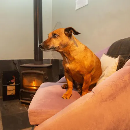 ファームステイ High Paradise Farm *