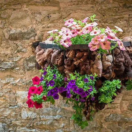 High Paradise Farm * Thirsk