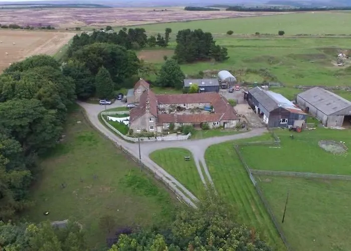 Farm stay High Paradise Farm