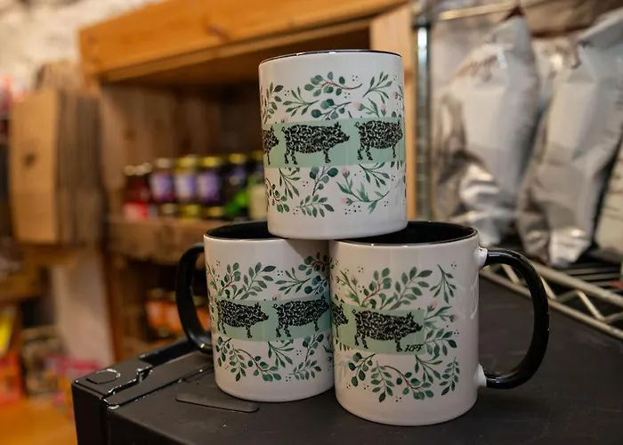 High Paradise Farm Thirsk