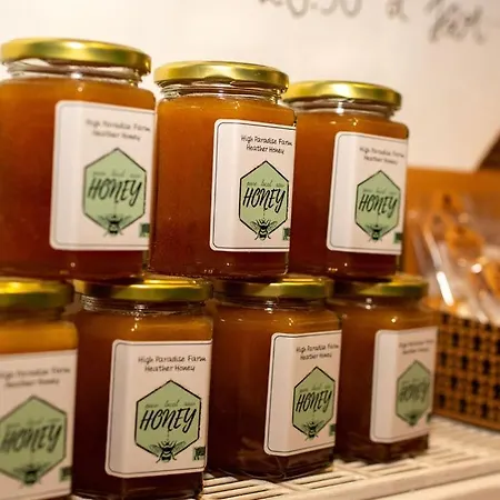 High Paradise Farm * 서스크