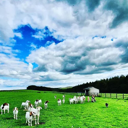 팜스테이 High Paradise Farm 서스크